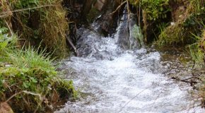 Comité Départemental de l’Eau – Réunion à la Préfecture du 10 avril 2024