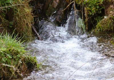 Comité Départemental de l’Eau – Réunion à la Préfecture du 10 avril 2024